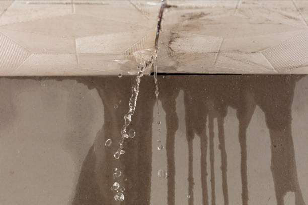 Professional Water Damage Inspection technician working in Washington, PA